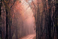 开云体育APP下载-西甲泪洒绿茵！拜仁8球血洗伯纳乌演绎世纪惨案