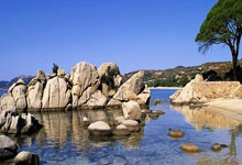 开云体育登录-BRO轻取DRX，369成为全场焦点小组赛3:1