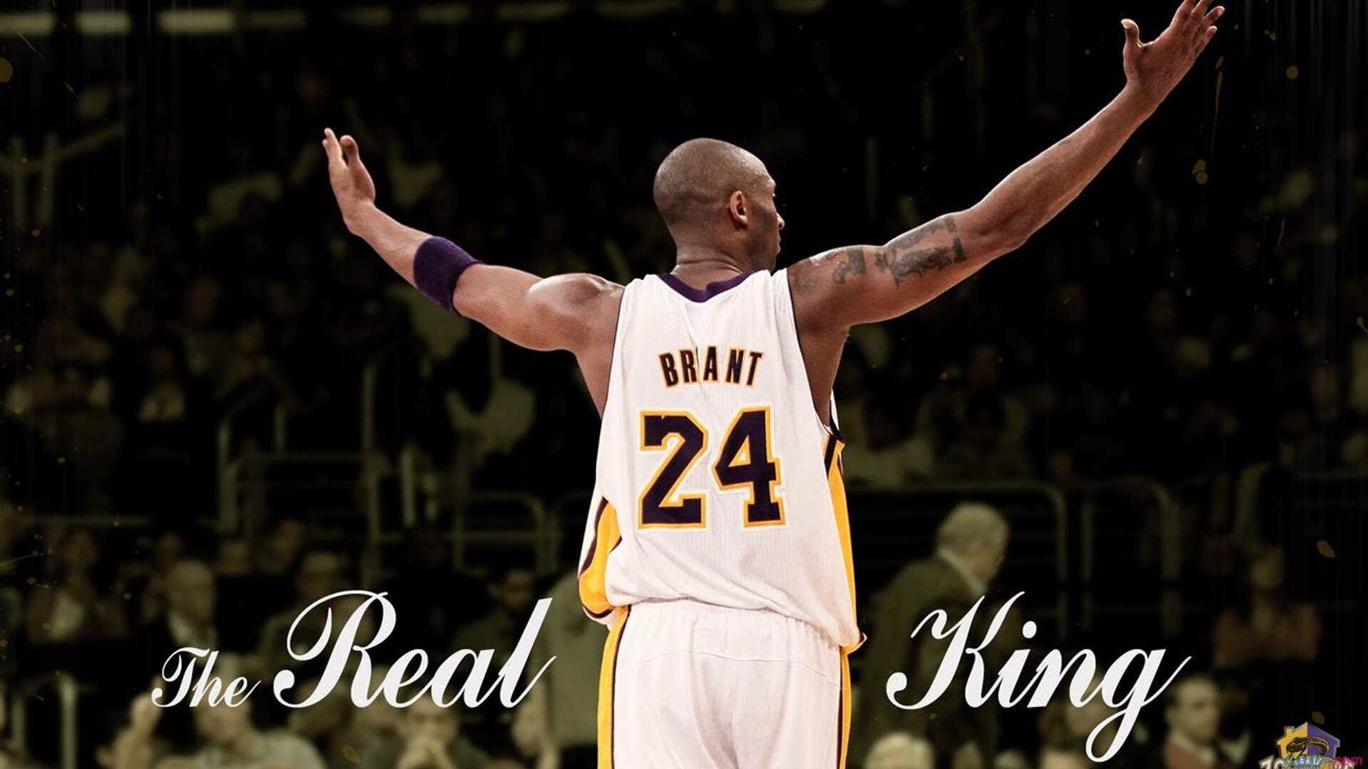 抢七之夜,天山铁骑踏破风城—新疆队决胜局力克公牛纪实